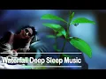 Download Lagu Matery Ung Relaxing | Waterfall on Leaves Relax Deep Sleep Music | Green Leaves Rainy Season Music