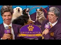 Download Lagu Who Has The Best Dog At Smosh?
