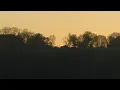 Fennesz & Ryuichi Sakamoto - Oto [Audio]