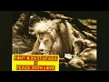 Download Lagu TONY Q RASTAFARA - PEACE WITH LOVE