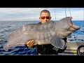 Download Lagu Deep Sea Fishing in the Arctic Circle - Huge Cod, Coalfish, Wolffish and Halibut | The Fish Locker