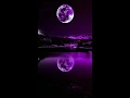Edip Akbayram | aldirma gonul | remix trap