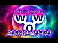 WORDS OF WONDERS CROSSWORD PUZZLE Level 29530-29559