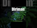 Download Lagu Diriman' by Daniel Bilip#pngmusic#db2023