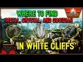 ARK Valguero Where to FIND - Metal Crystal and Obsidian in WHITE CLIFFS