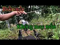 Download Lagu Tiếng quốc tơ mồi cực nhạy - một buổi bẫy cuốc không may mắn