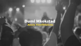 dumi mkokstad nzulu yemfihlakalo official lyric video 
