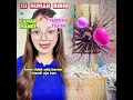Download Lagu KamumengaturisirumahRirin
