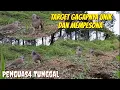 Download Lagu Burung Incaran Penguasa Tunggal,, Gagapnya Unik Dan mempesona@terkukur peliharaan 