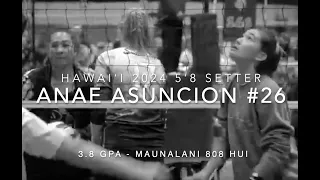 anae asuncion 2024 setter hawaii
