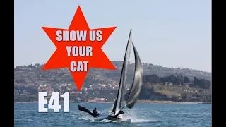 Show us your cat! Episode 41 Canada, USA and Slovenia
