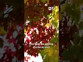 Fall weather is here in Northern California CA Water Weather