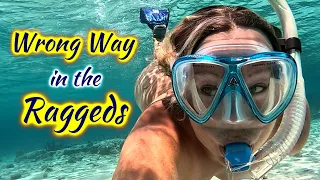 SDA197 Wild Reefs in the Triangle of Stupid