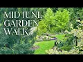 Download Lagu Mid-June Garden Check-In 🌸 Look What’s Blooming Now!