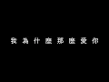 張惠妹 - 我為什麼那麼愛你(歌詞版)