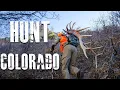 How To Hunt Colorado For Elk Deer and Antelope