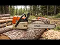 10 Most Beloved Chainsaws of All Time