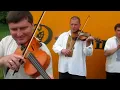 українська народна "Підманула підвела"