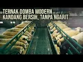 Download Lagu Mantan Kernet Truk Bisa Beli Rumah, Sawah \u0026 Mobil dari Ternak Domba