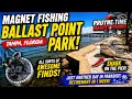 Shark on the Pier Magnet Fishing Ballast Point Park in Tampa Florida Retirement is So Close