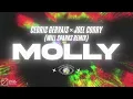 Cedric Gervais & Joel Corry - MOLLY (Will Sparks Remix) [Official Audio]