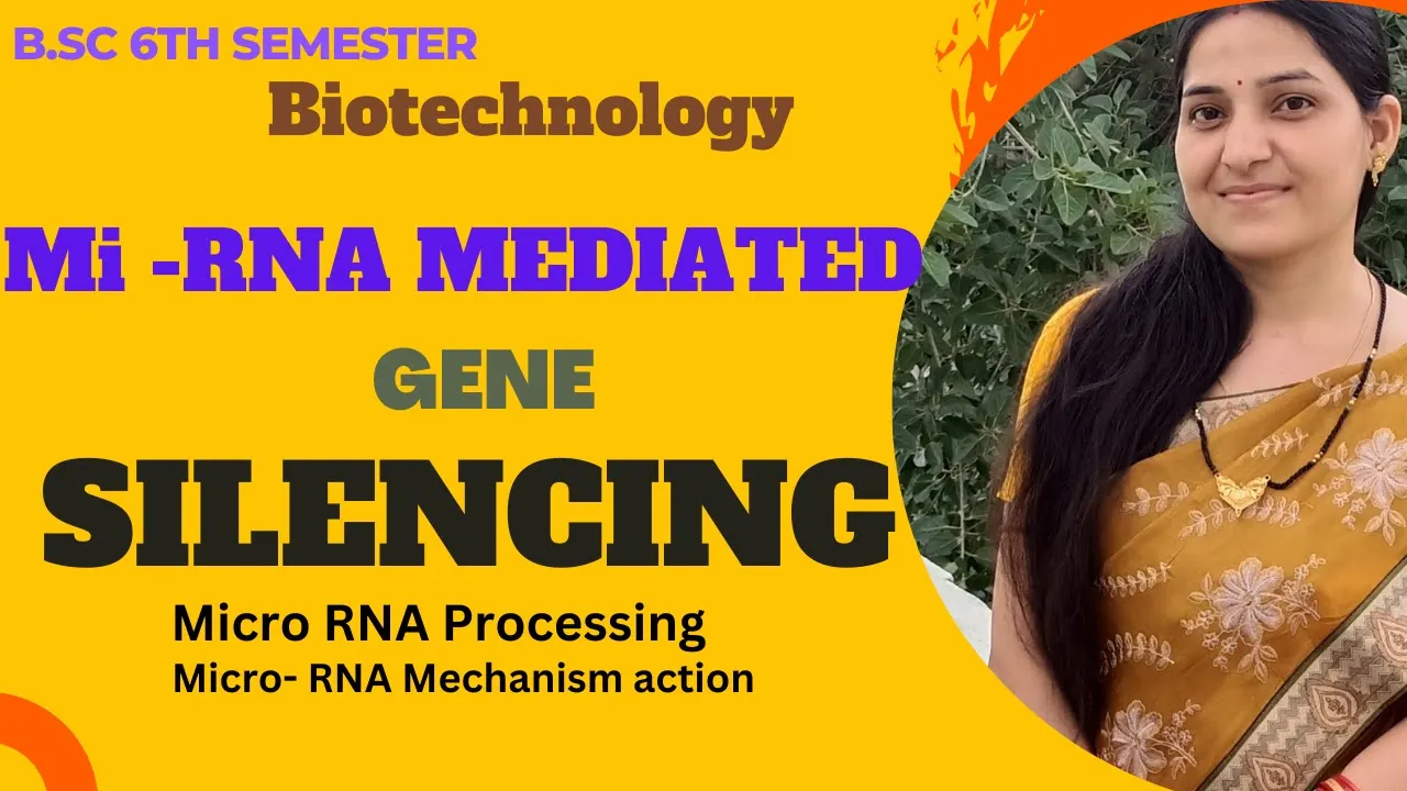 miRNA Mediated Gene Silencing bsc 3rd year||Gene silencing By Micro RNAs |Mi RNA biogenesis & action