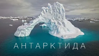 Антарктида. Великий випуск [Прем'єра 2025]