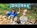 Download Lagu You can go here! Geode Hunting | Public Crystal Mine