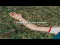José Madero - El Pájaro Vio El Cielo Y Se Voló [Letra]