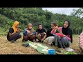 Download Lagu Hidup Di Desa, Makan Nasi Liwet Bersama Gadis Desa Di Tengah Sawah