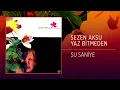 Sezen Aksu - Şu Saniye (Official Audio)