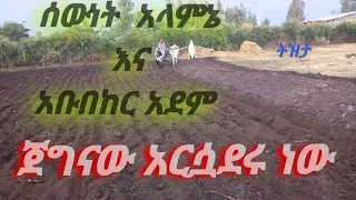 ሰውነት አላምኔ እና አቡበከር አደም ጀግናው አርሷደሩ ነው Music 