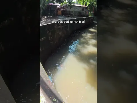 Dog Unexpectedly Into Canal