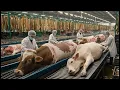 Inside the Cow Leather Factory : How Cowhide Becomes a $10,000 Luxury Jacket | Full Process