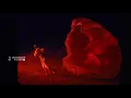 Pick Your Battles - Diplo & Petit Biscuit