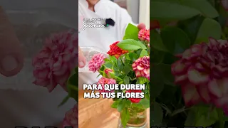 🌷 ¡Haz que tus flores duren mucho más! 💐 #alacocinaconjacobina #flores #ramos #tipsdelhogar