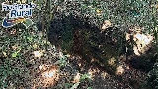 Como os antigos povos da Amazônia construíram um dos solos mais férteis do Mundo