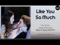 Lagu Like you so much (那么喜欢你) | Zhao Yihuan (赵奕欢) | The Brightest Star in the Sky (夜空中最闪亮的星) OST Lyrics