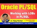 Working with LOBs Oracle Tutorial s Mr Vijay Kumar