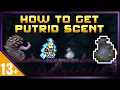 Terraria How To Get Putrid Scent Accessory Guide 1 4 Journeys End