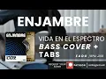 Enjambre - Vida En El Espectro (BASS COVER + TABS)