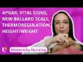 APGAR Vital Signs New Ballard Scale Thermoregulation - Maternity LevelUpRN