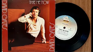 David Gates - Take Me Now - 1982 - Vinil Completo