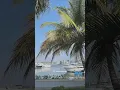 Download Lagu Samuel Clássico - Ainda Me Deves (LETRA/STATUS)