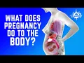 Lagu This Mind-Blowing Animation Shows The Incredible Way A Woman's Organs Move During Pregnancy