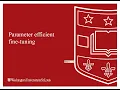 Parameter Efficient Fine Tuning Methods