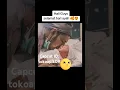 Saya menemukan template mengagumkan ini di CapCut. https://www.capcut.com/t/Zs8SmpAtx/ HariAyah