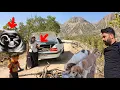 Download Lagu Documentary of nomadic life \