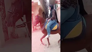 دخلت الفرح راكبة حصان وبتغني بصوت عالي والناس محتارة دي العروسة ولا المطربة اكسبلور دويتو  دخلت الفرح راكبة حصان وبتغني بصوت عالي والناس محتارة دي العروسة ولا المطربة اكسبلور دويتو