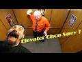 Download Lagu System of a Down - Chop Suey (Elevator Bossa Nova Edition)
